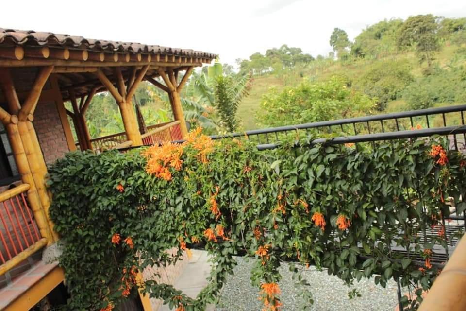 Finca El Diamante Vila Calarcá Exterior foto